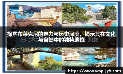 探索布莱克尼的魅力与历史深度，揭示其在文化与自然中的独特地位